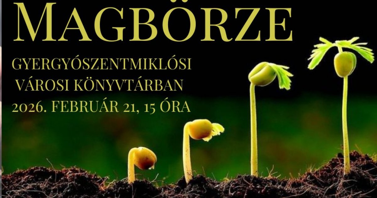 XI. Gyergyói Magbörze